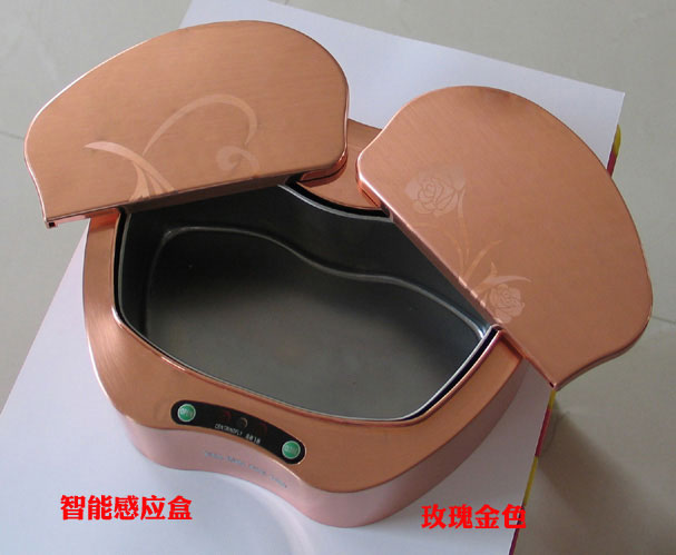 Ӧ鱦