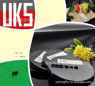 UKSSS8050Y1