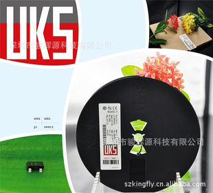 UKSS9013J3