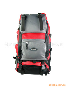 ŷ40L˫԰С2431