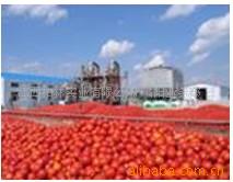 ѽHACCP)