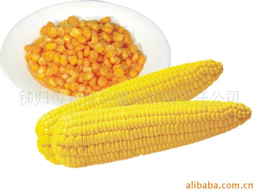 10ڳ׹ͷ