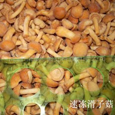 ٶʳþ,ڻӹ(ͼ)