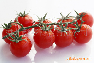 ʳƷѷ
