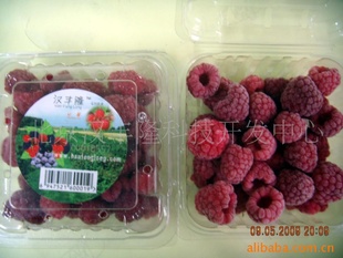 ¡ٶݮfroZenraspberry