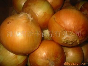 ζٶ𿾻ƣ죩