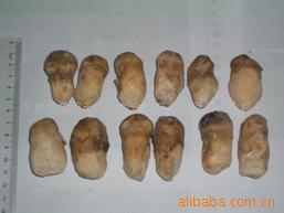 ֱ䶳ֻA4-5