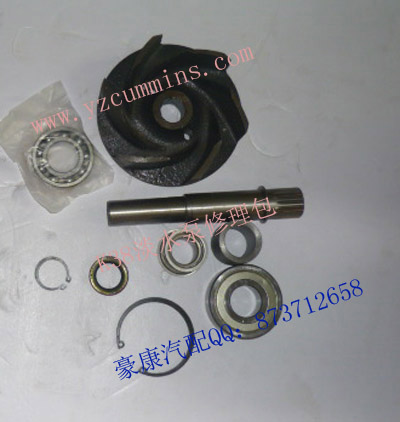 ˹3803283cummins