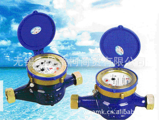 LXS-25EʽҺˮھDN25