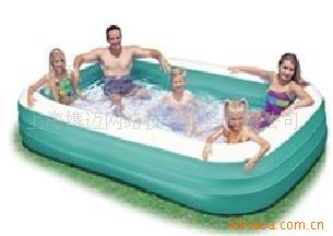 INTEXͥӾ58484