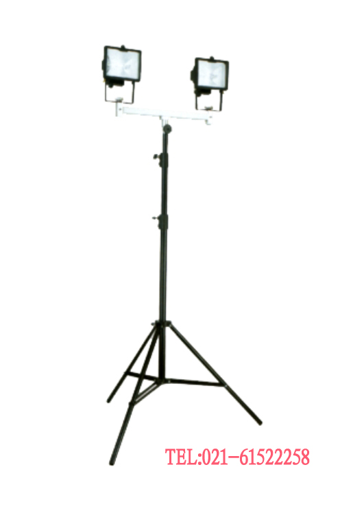 D3000BЯʽ2500W