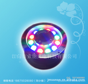 LED12Wˮ׵/LEDˮµ