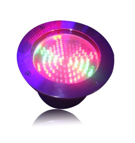 LEDصͶӰLEDƳLED
