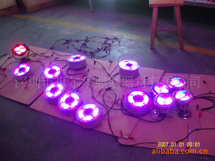 ֱLEDˮµ