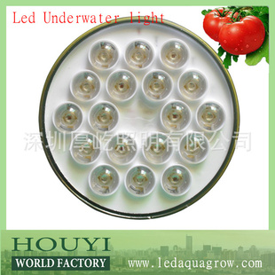 ledunderwaterlight25WӾصȪ