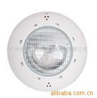 ASTRAL100W/12Vͼˮ¹ұڵ
