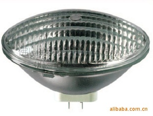 PAR56300W230Vڷˮµ