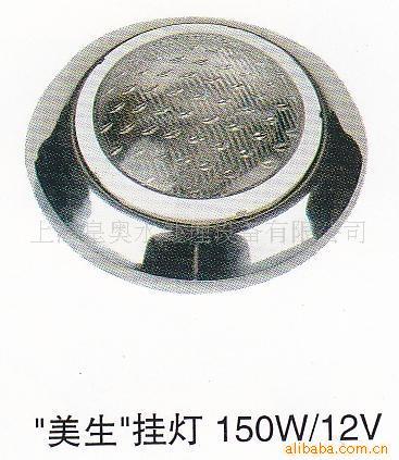 泳池水处理不锈钢水下灯/塑料壁挂灯/不锈钢池底灯
