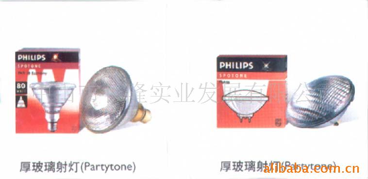 ˮ׵PAR38۹120w1024V(ͼ)