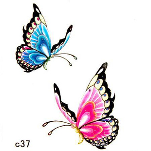 2011¿ֽҹֽֽʵ