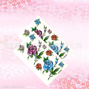 ˮתӡֽֽҹֽȸ....