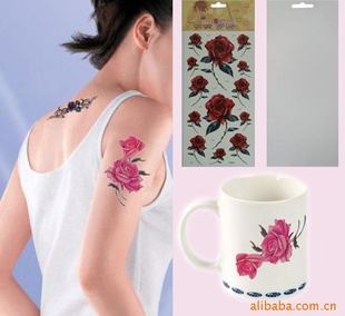 YM-WS105۸ݣӭǢ̸
