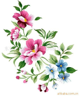 ,մˮתӡֽ