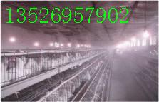 ѹ1/8ֳʪͷ