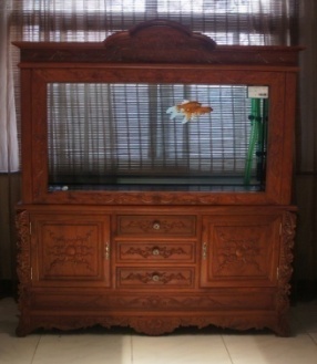 ľˮľ̬׺ľϵһƷϹ