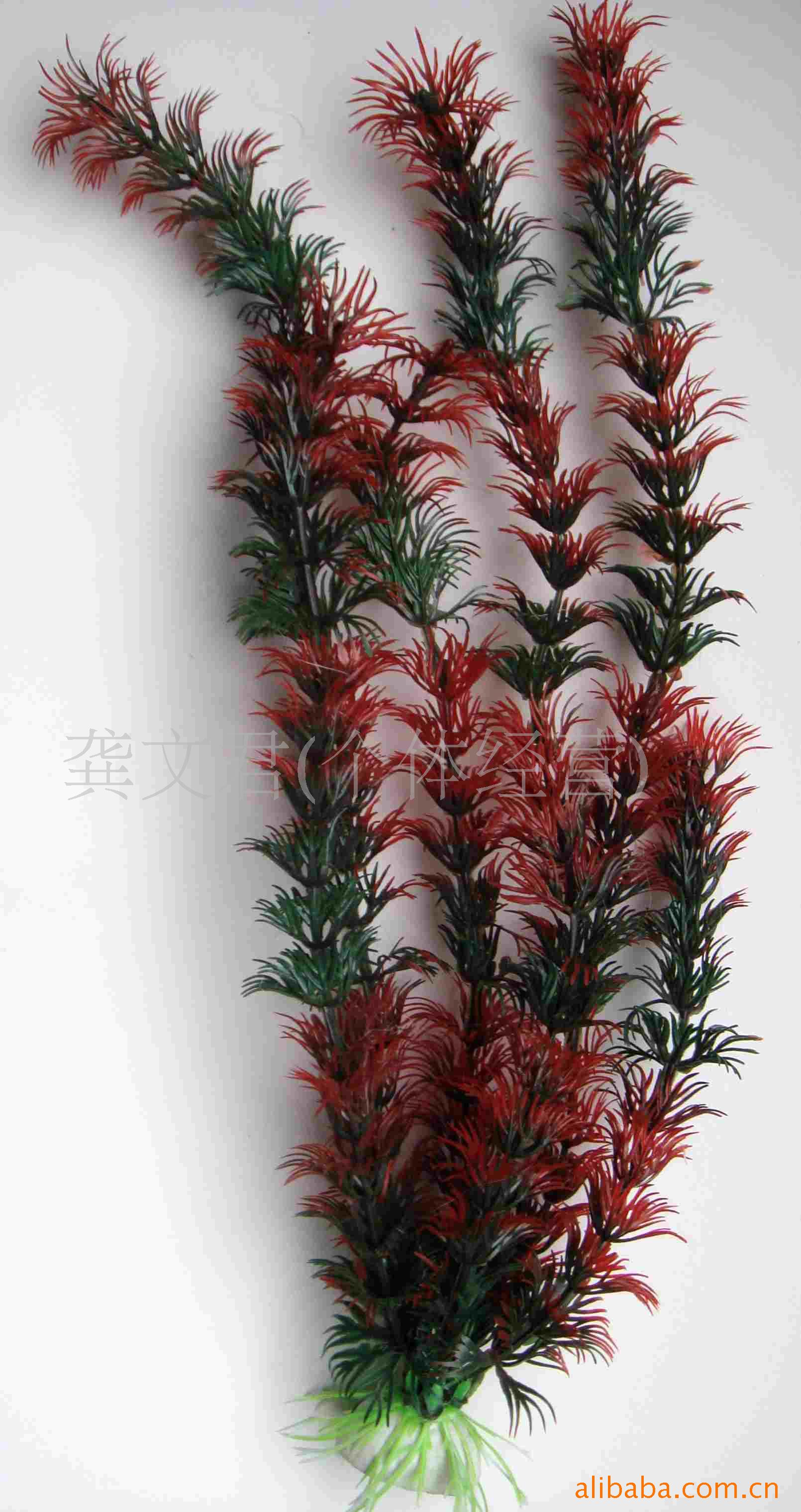 ˮLT-6