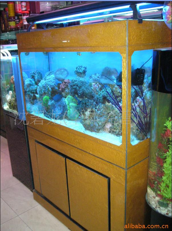 úˮˮ