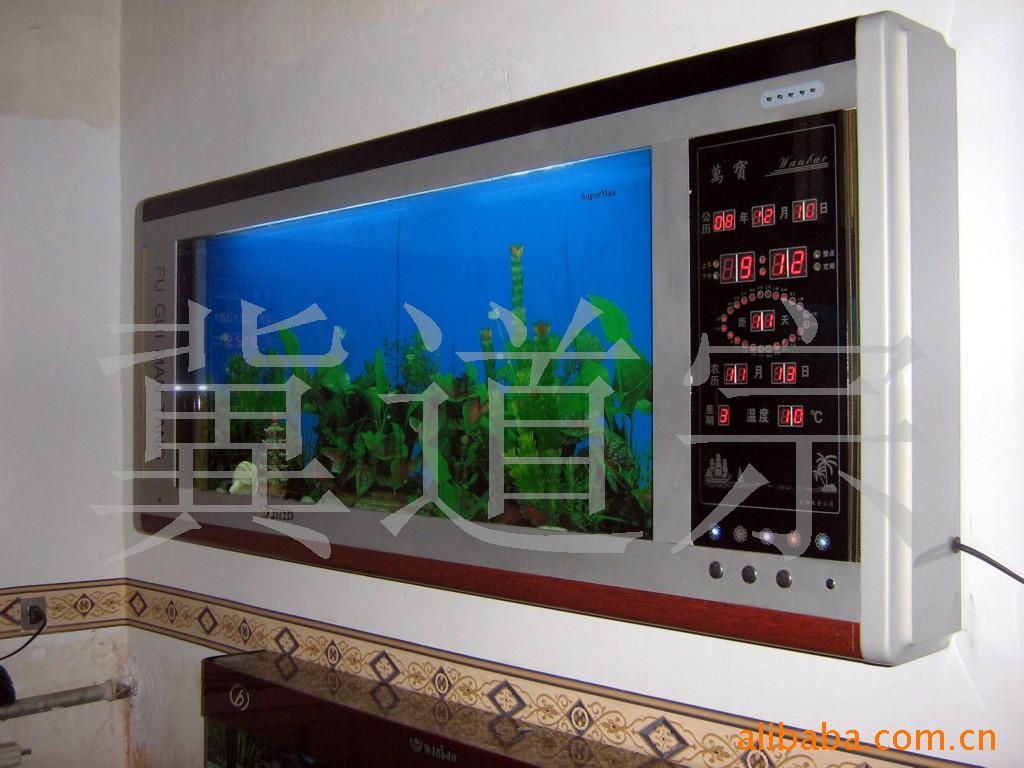 免费转让技术-壁挂鱼缸.玻璃设备.生态鱼缸..