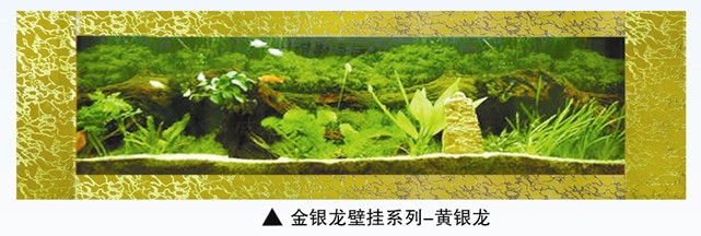 ңˮ()