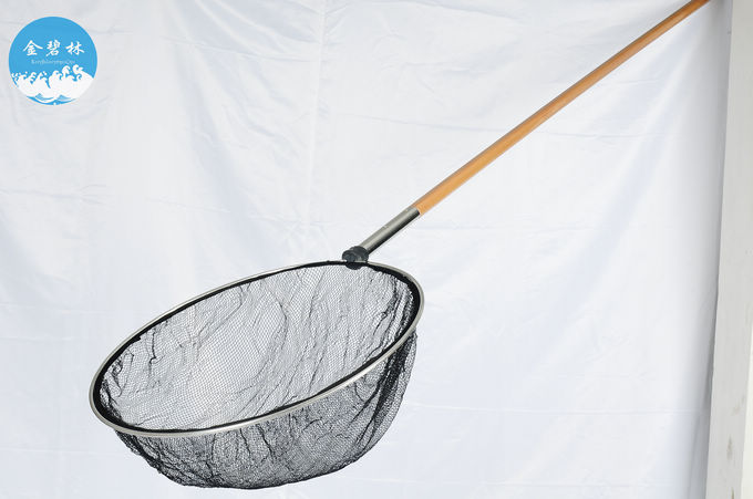 ֱ80cm//޽
