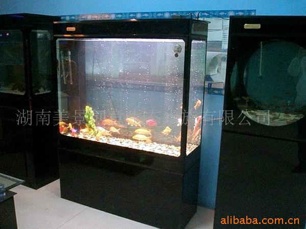 各地生态鱼缸生态水族箱长沙水族鱼缸
