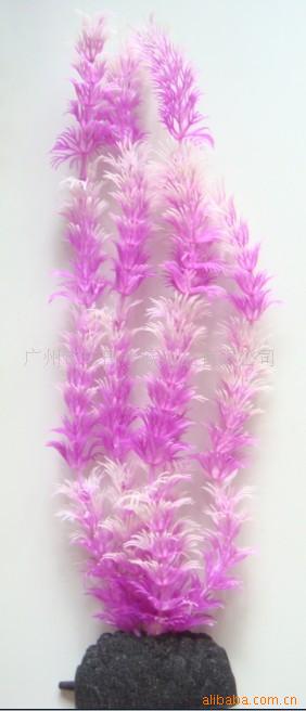 ˮʯ