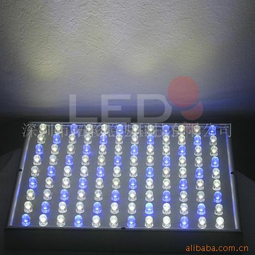 LED׵