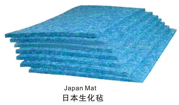 Ӧձ