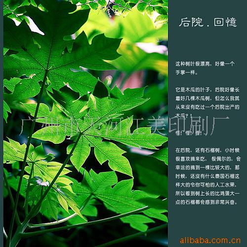 宣传画册设计印刷,广州印刷厂,说明书印刷,图书(图)