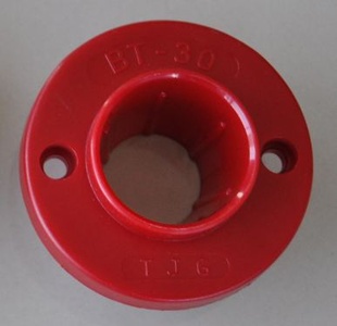 BT30