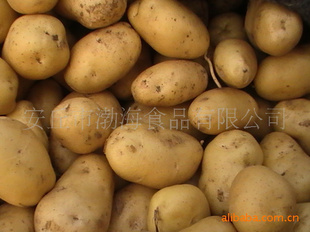 出口级别的土豆