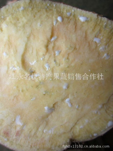 ۼӹزĺ