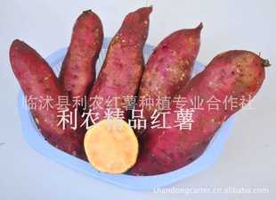 ѡ150ϵ翾