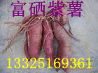 ޹1