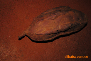 --޹߲˺ʳƷ
