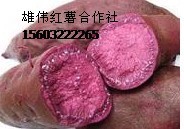 Ʒֺ