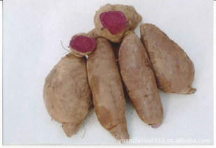 ̳2012ʳװɢװ5KG