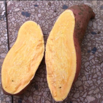 ӦصعϷ
