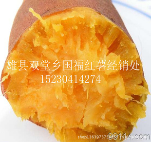 عɿڵعϷƷ