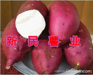 ຣعĵعϺĵعϰĵع